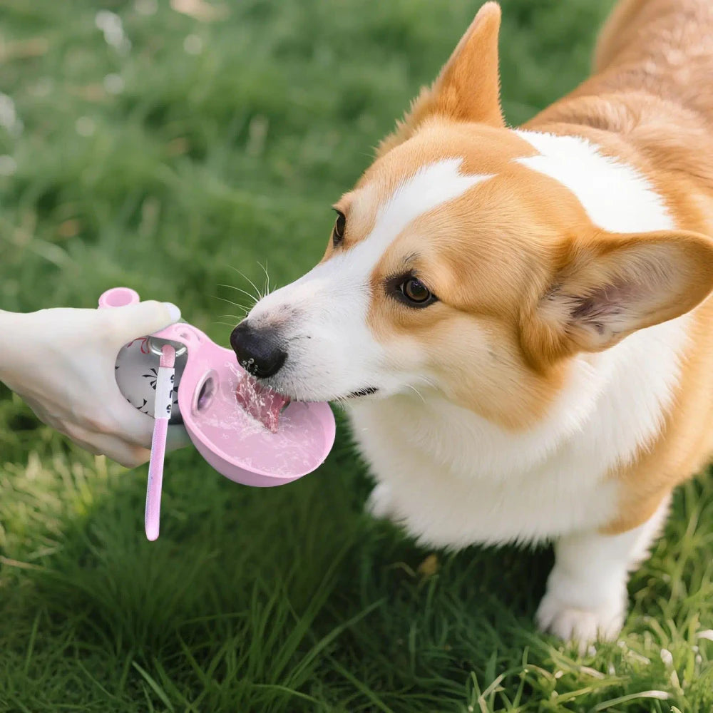 Tragbare 2-in-1 Hunde-Wasserflasche